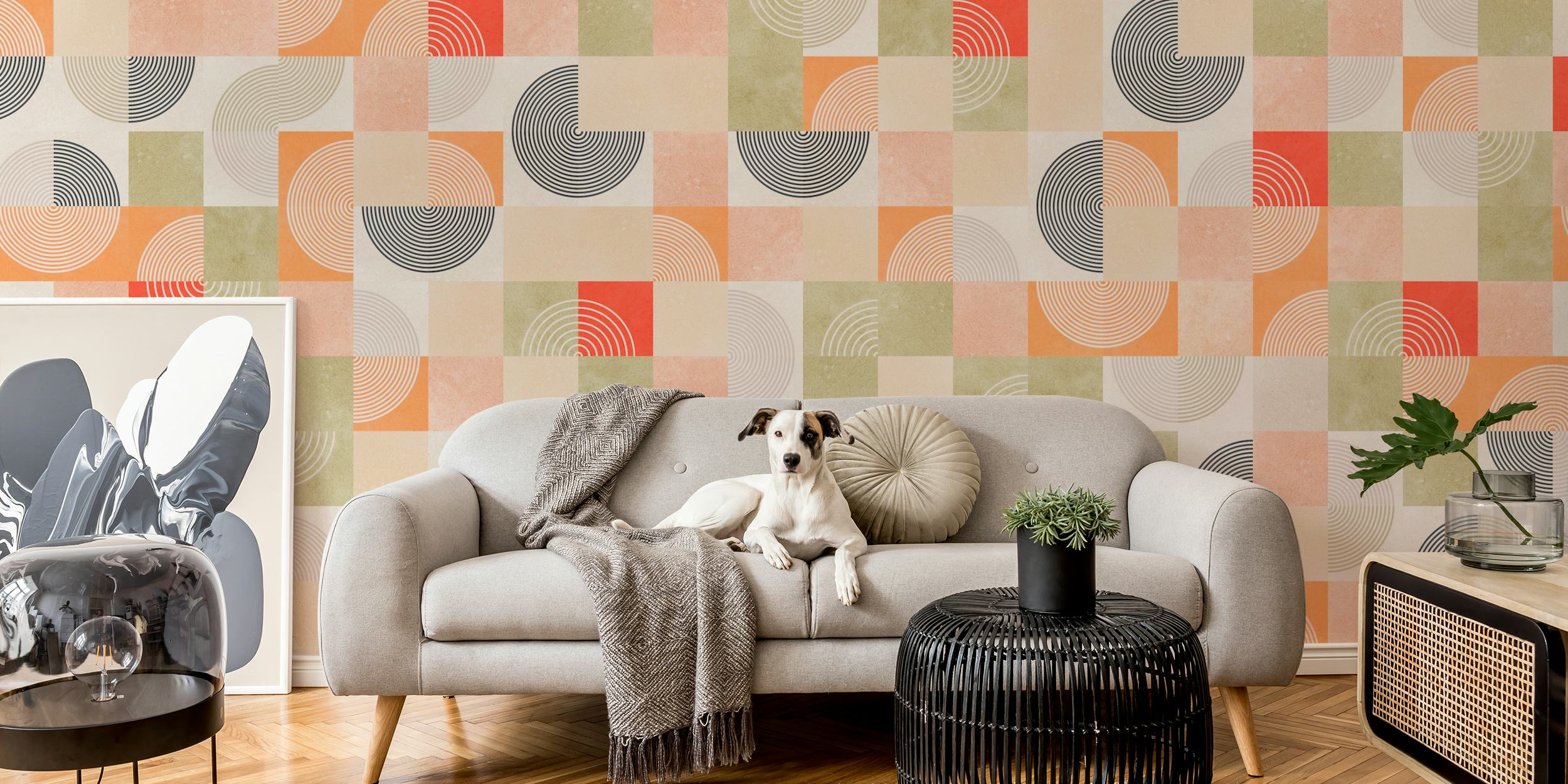 Colorful geometric circles and squares in orange, green, and red wallpaper