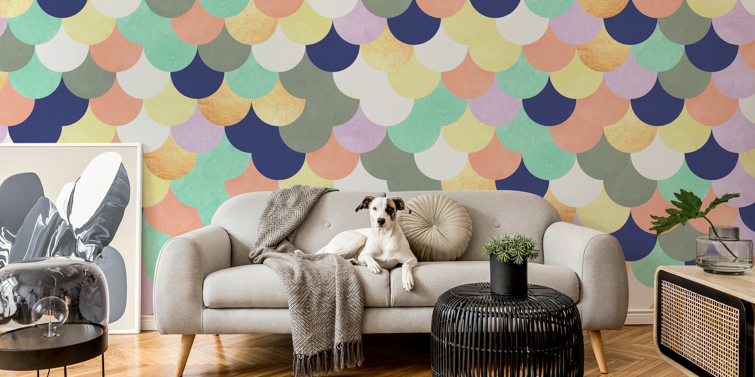 Colorful circles behang in een kamer