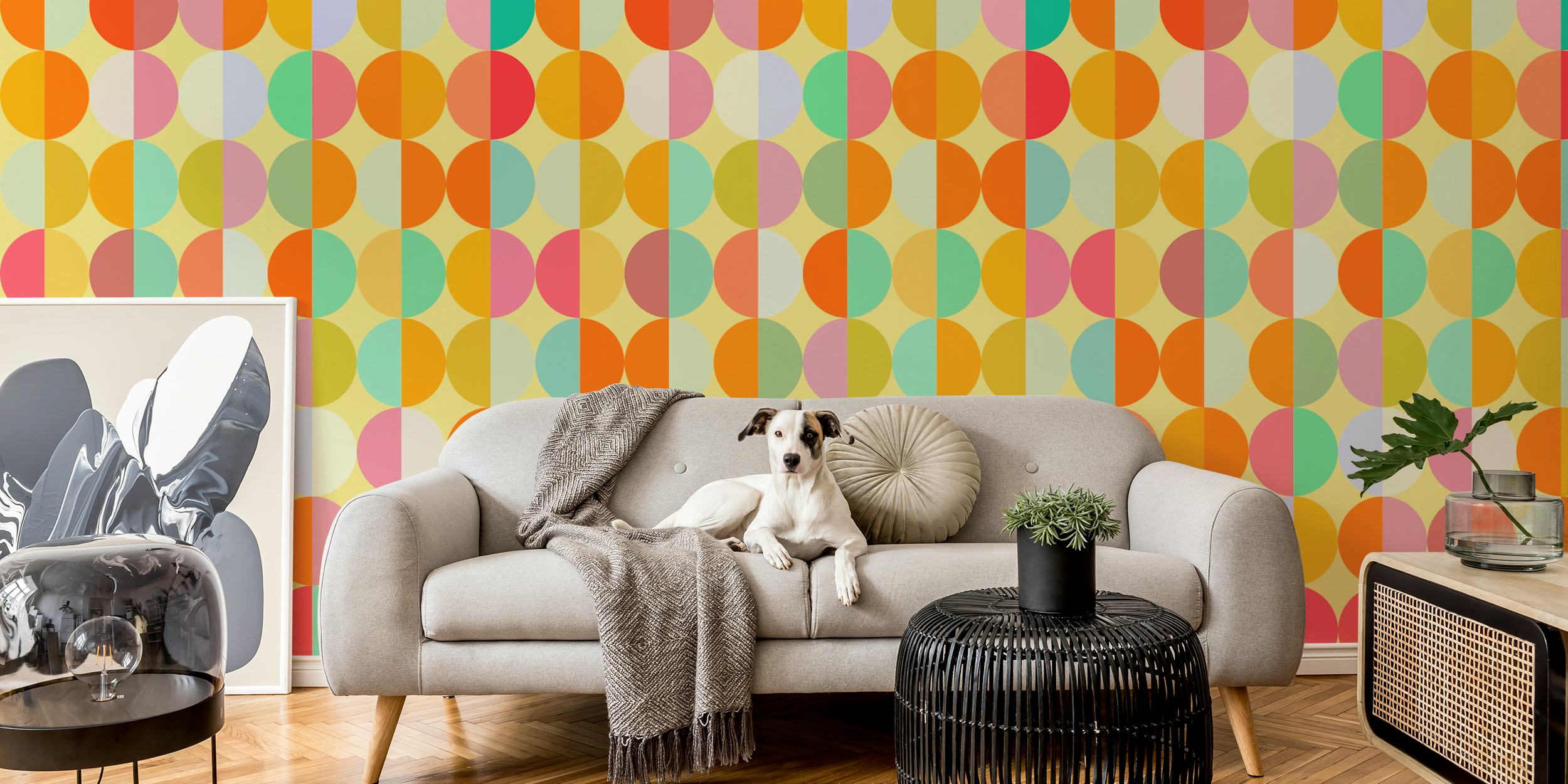 Colorful geometric circles in pink, orange, yellow, and teal wallpaper