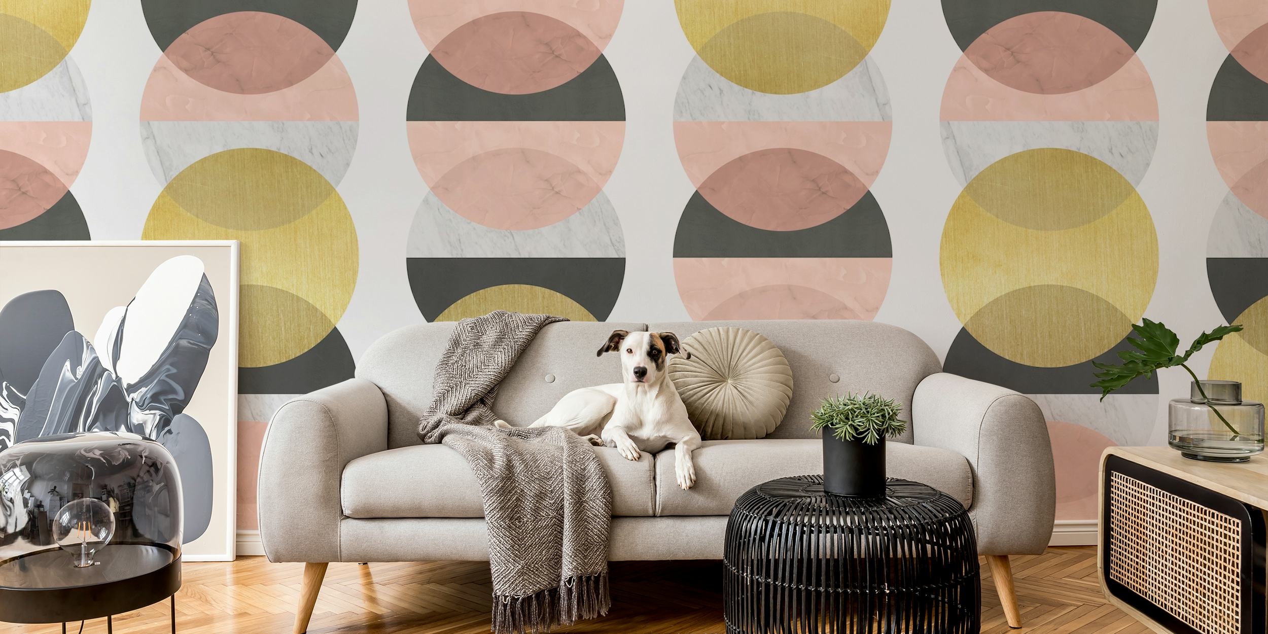Pattern of circles tapet i et rom