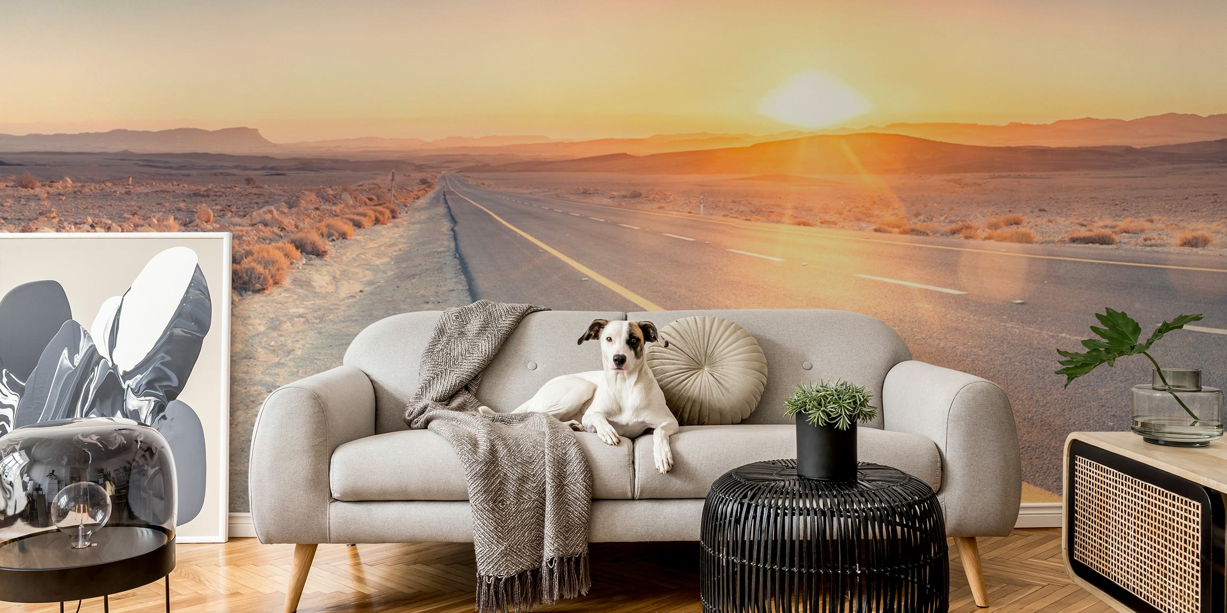Desert Dawn Drive wallpaper in a room