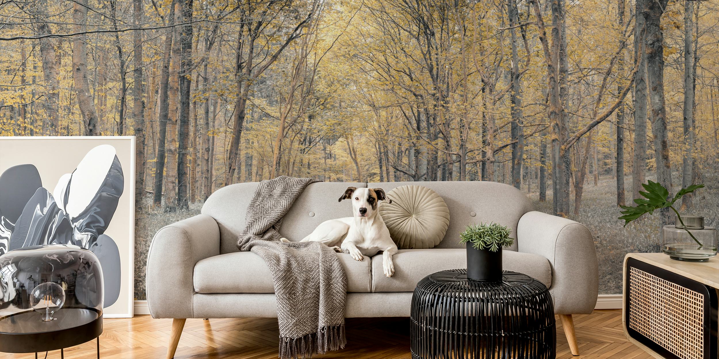 Golden Forest Path tapetti huoneessa