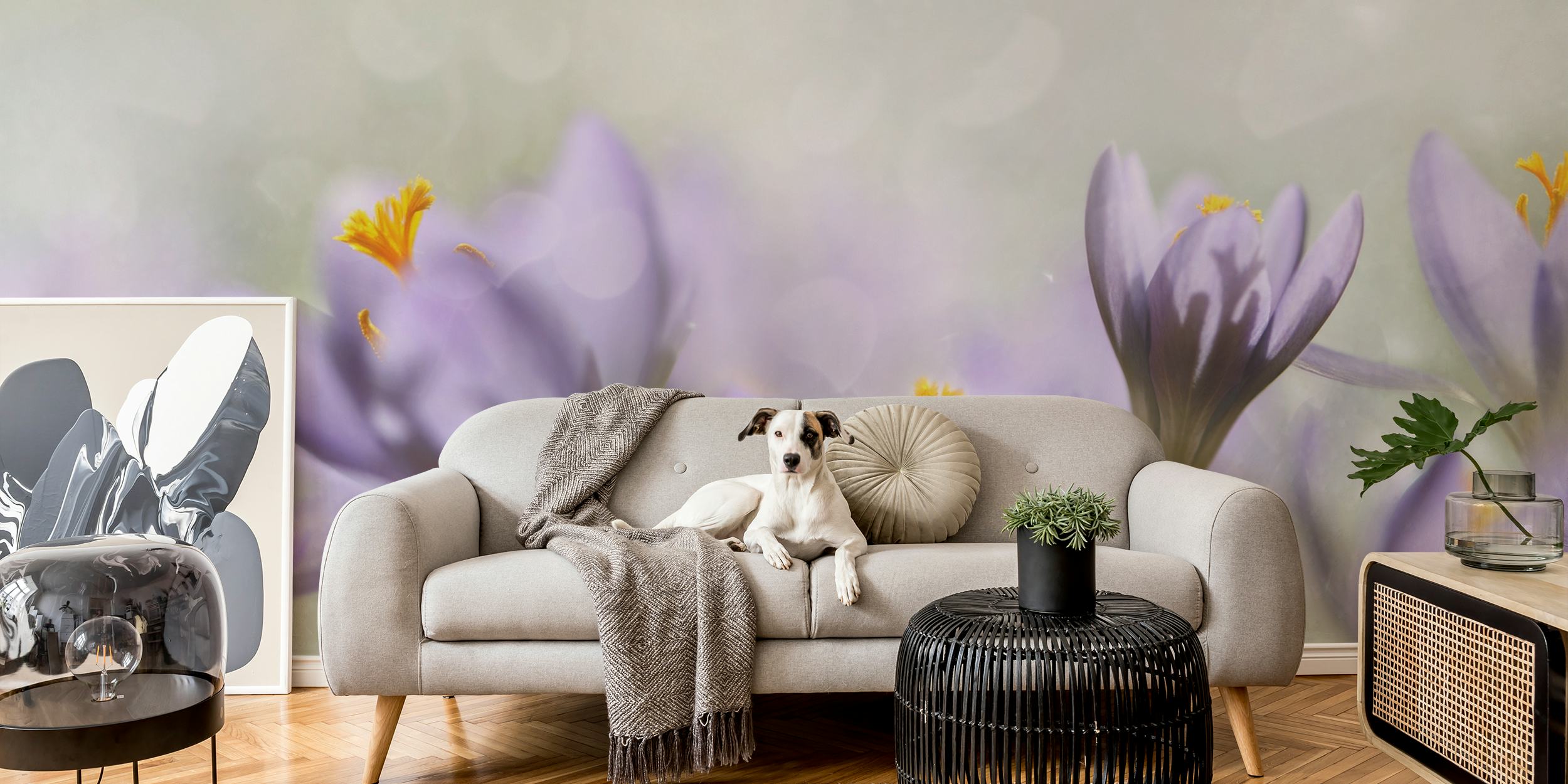 Purple flowers with orange accents in soft focus wallpaper