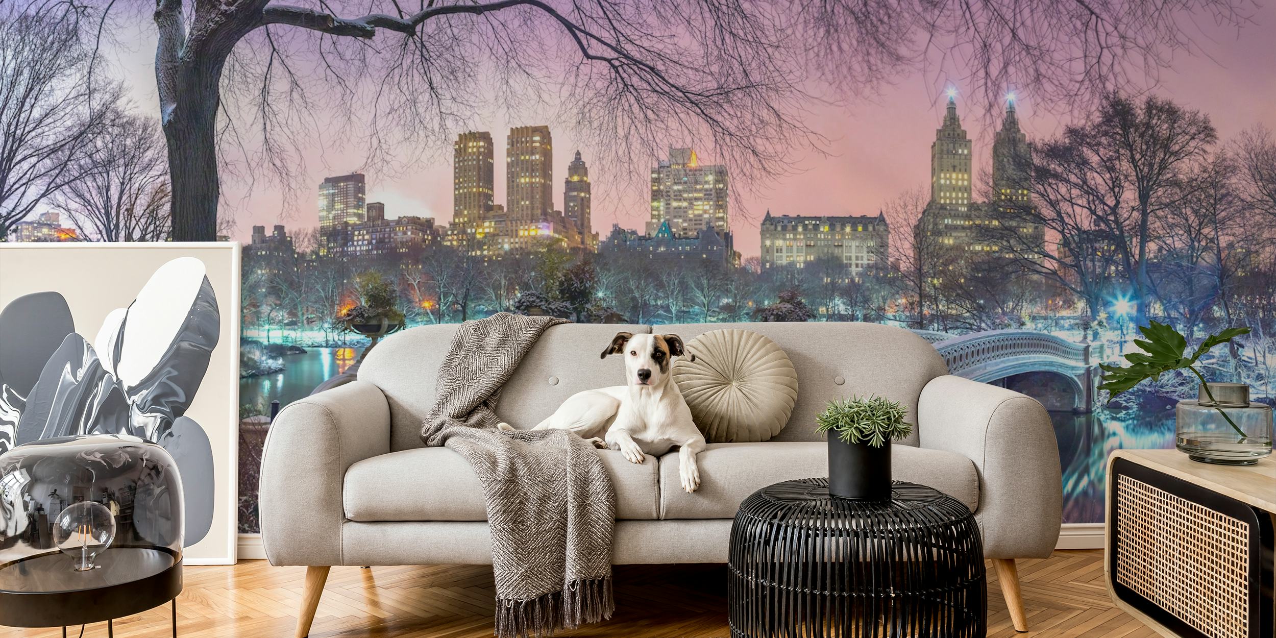 Central Park wallpaper featuring Manhattan skyline