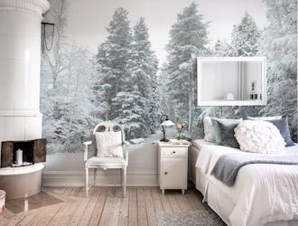 Winter nature Finland