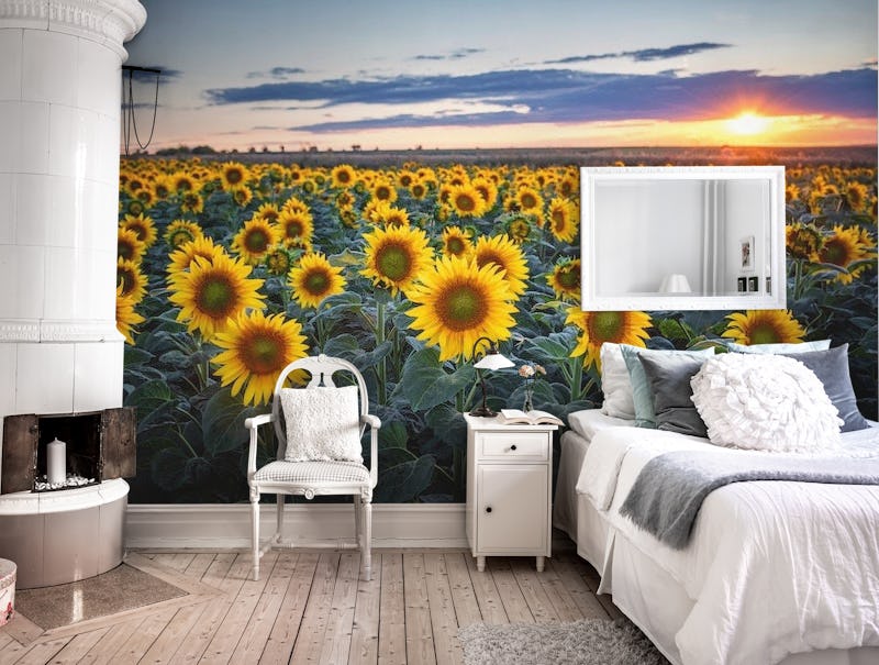 Sunflowers Sun