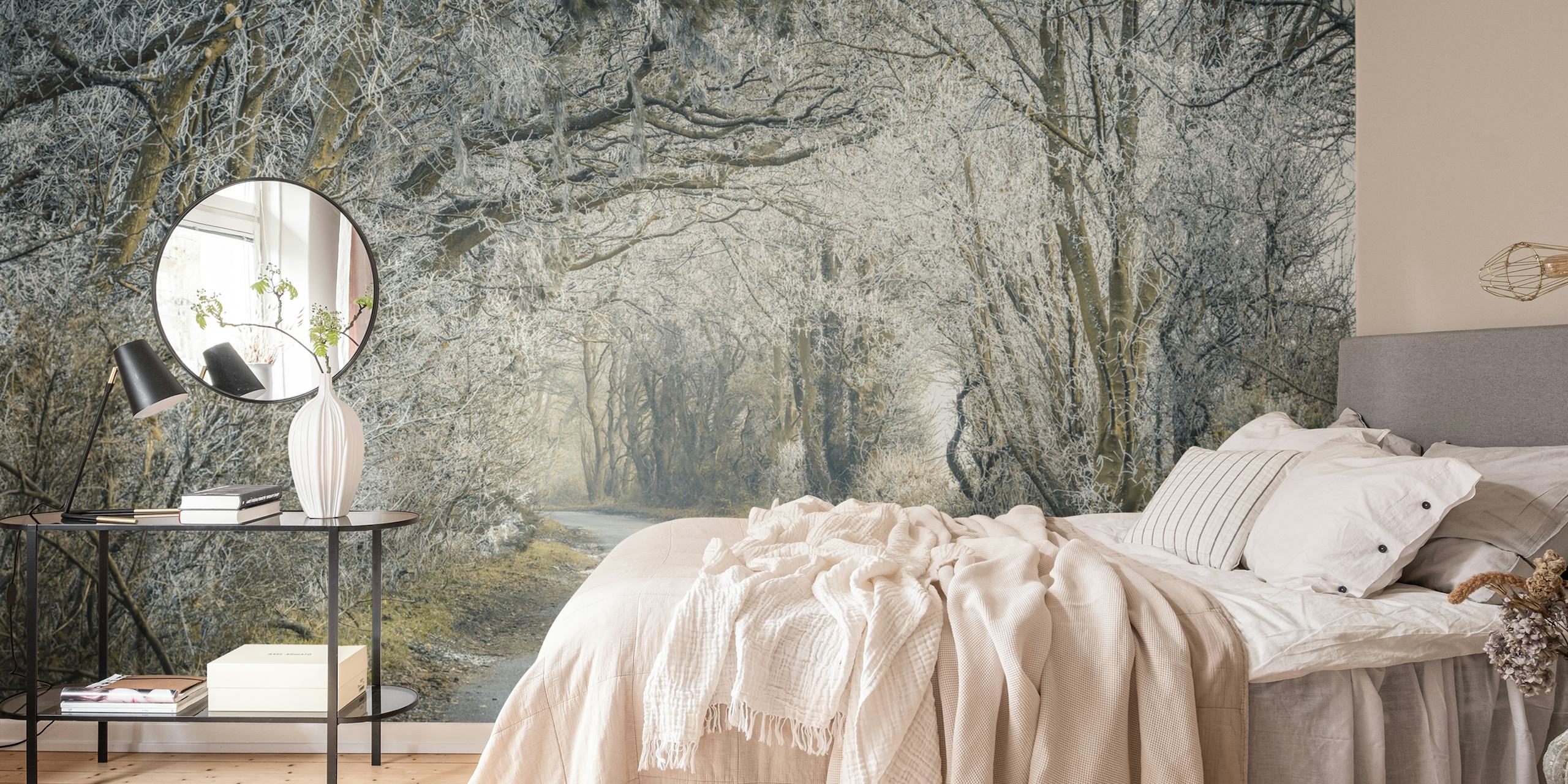 Frosty road flanked by white trees in a serene forest wallpaper