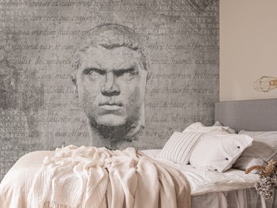 ANCIENT Head of Caracalla