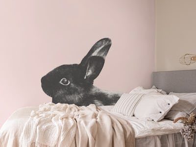 Little Rabbit on Blush 1