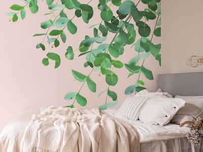 Eucalyptus Blush Green 1