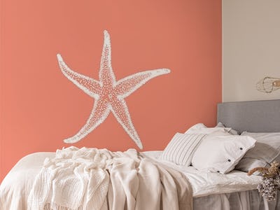 Rust Orange White Sea Star