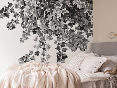 Ivy Delight 3