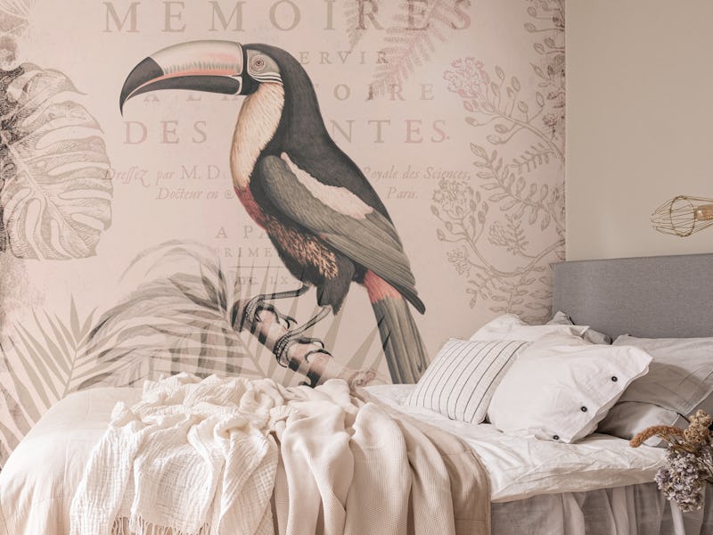 Toucans Tropical Paradise Vintage Botanical Art II