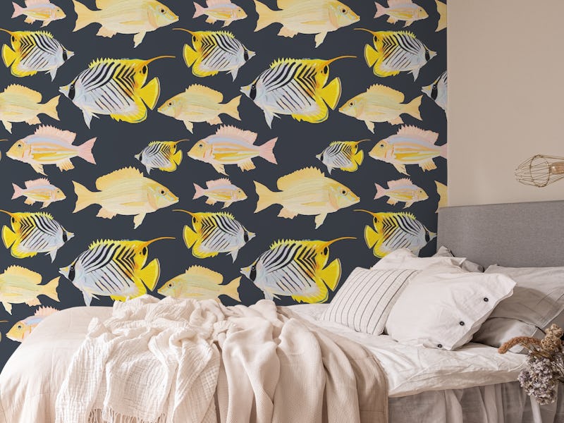 Sand Bream - The Fish 07