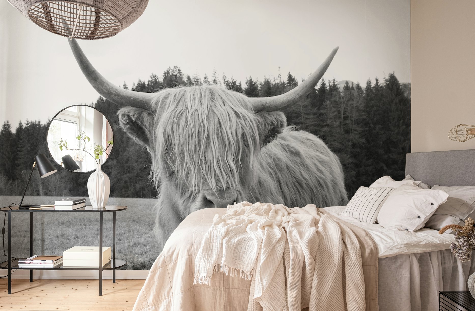Highland Cow 6 wallpaper