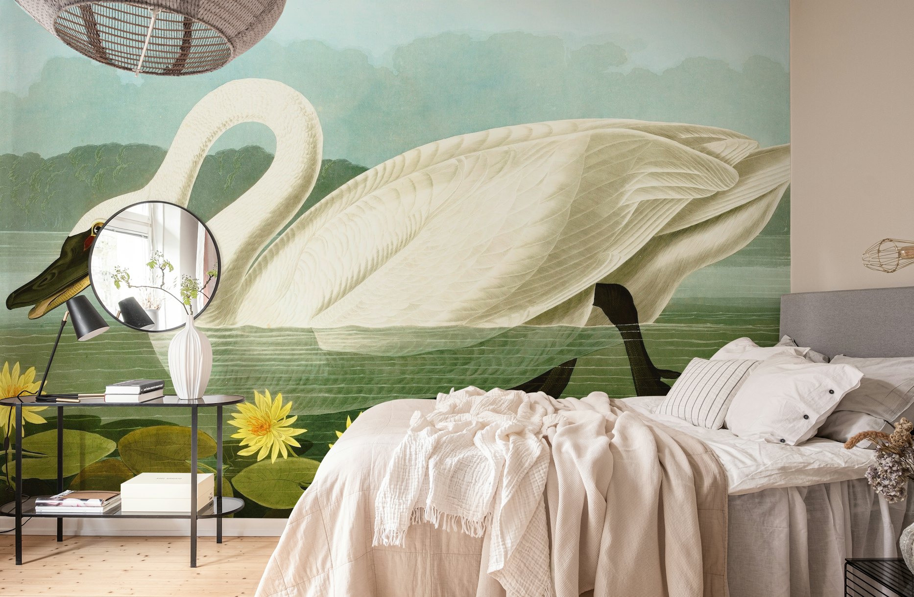 Swan wallpaper