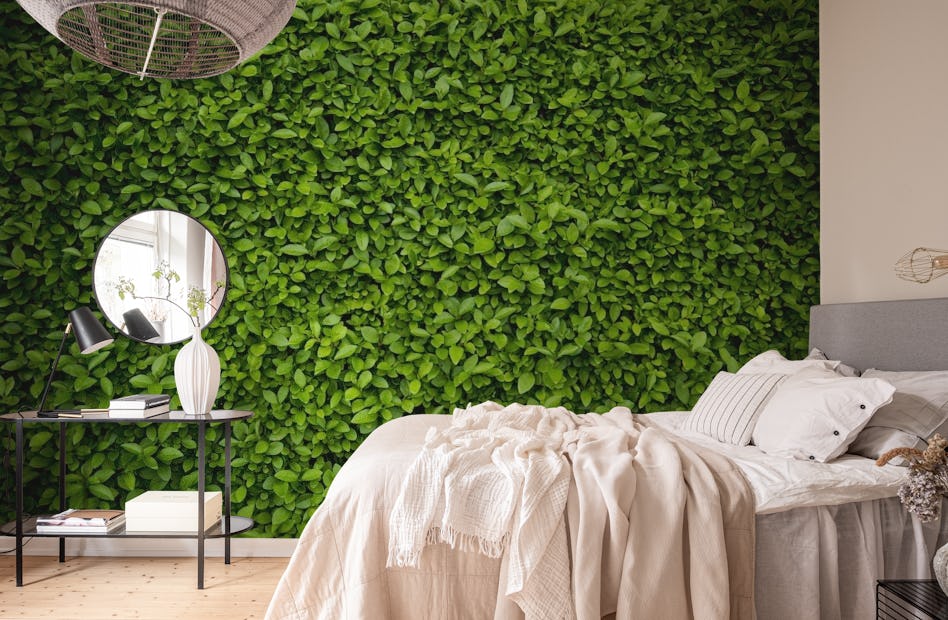 Green leaves wall wallpaper - Happywall