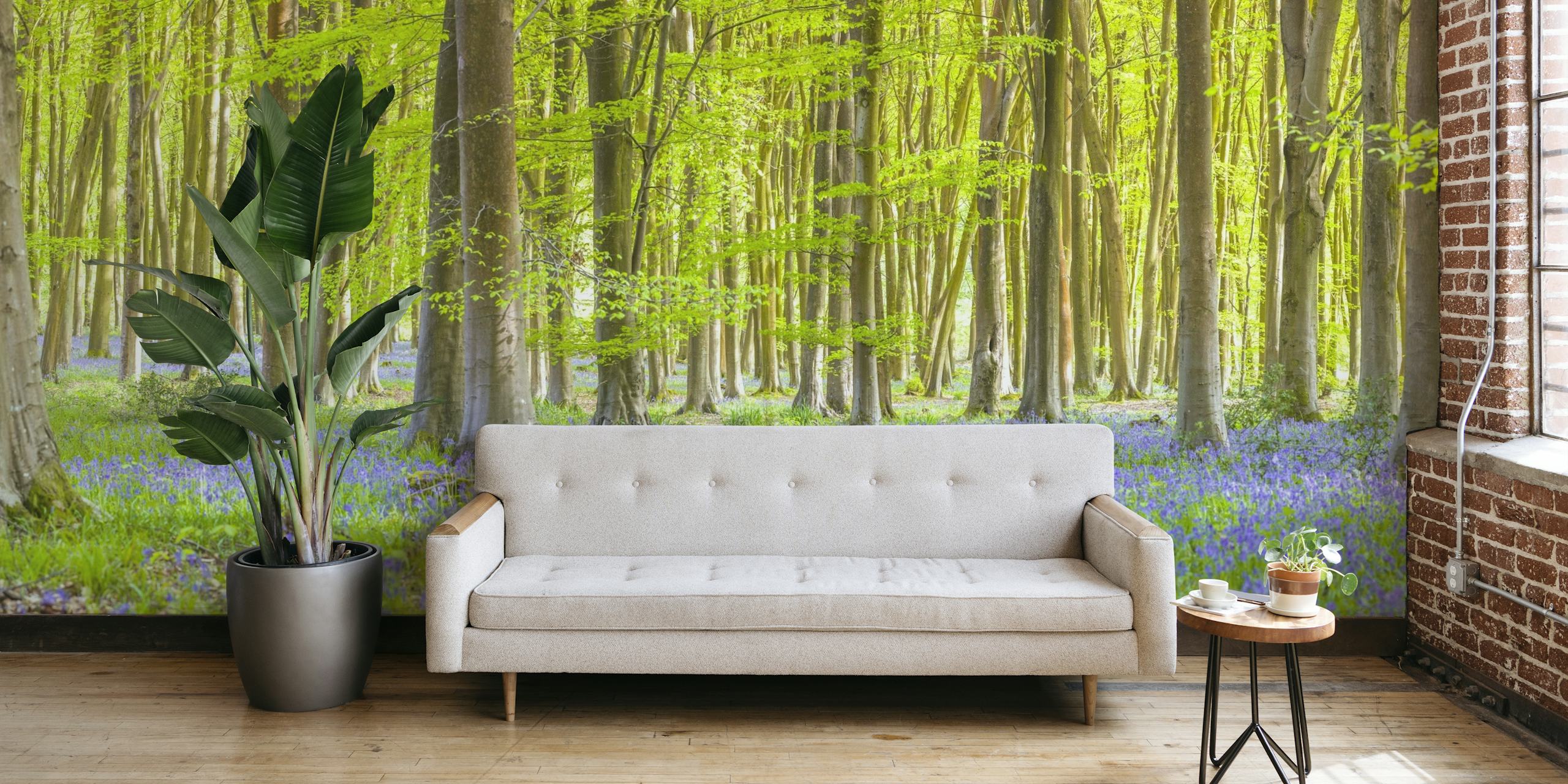 Green Forest Wallpaper - Buy Now on Happywall