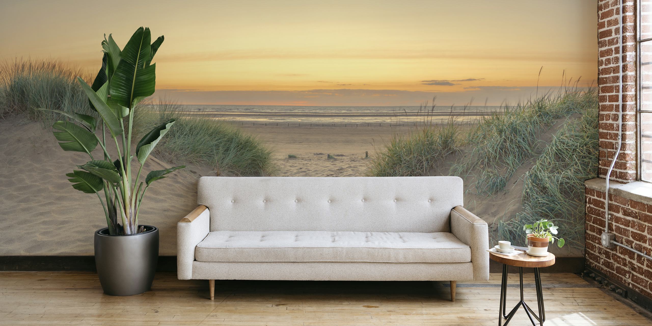 Coastal beach sunset wallpaper with sand dunes and grass