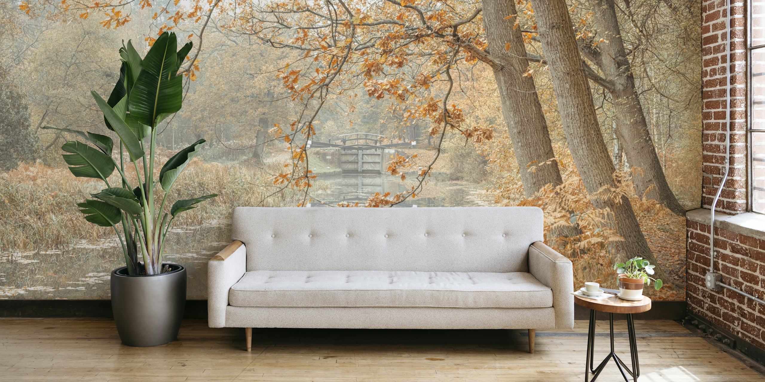 Autumn forest with a tranquil canal wall mural