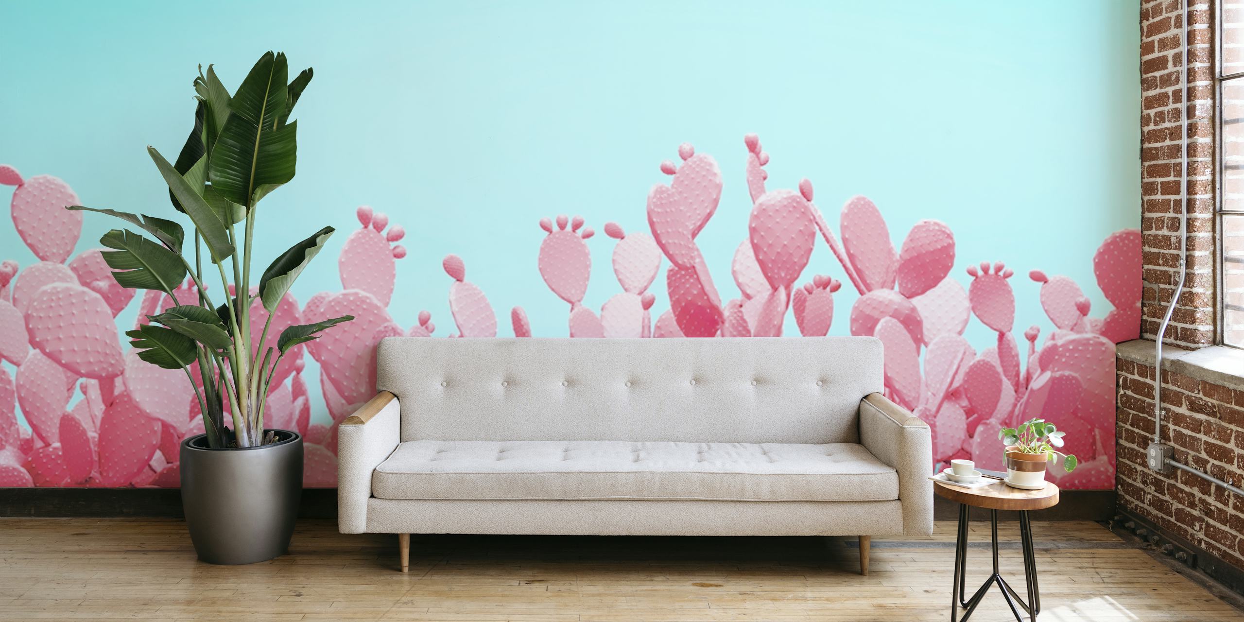 Pink cactus plants against a turquoise background wallpaper