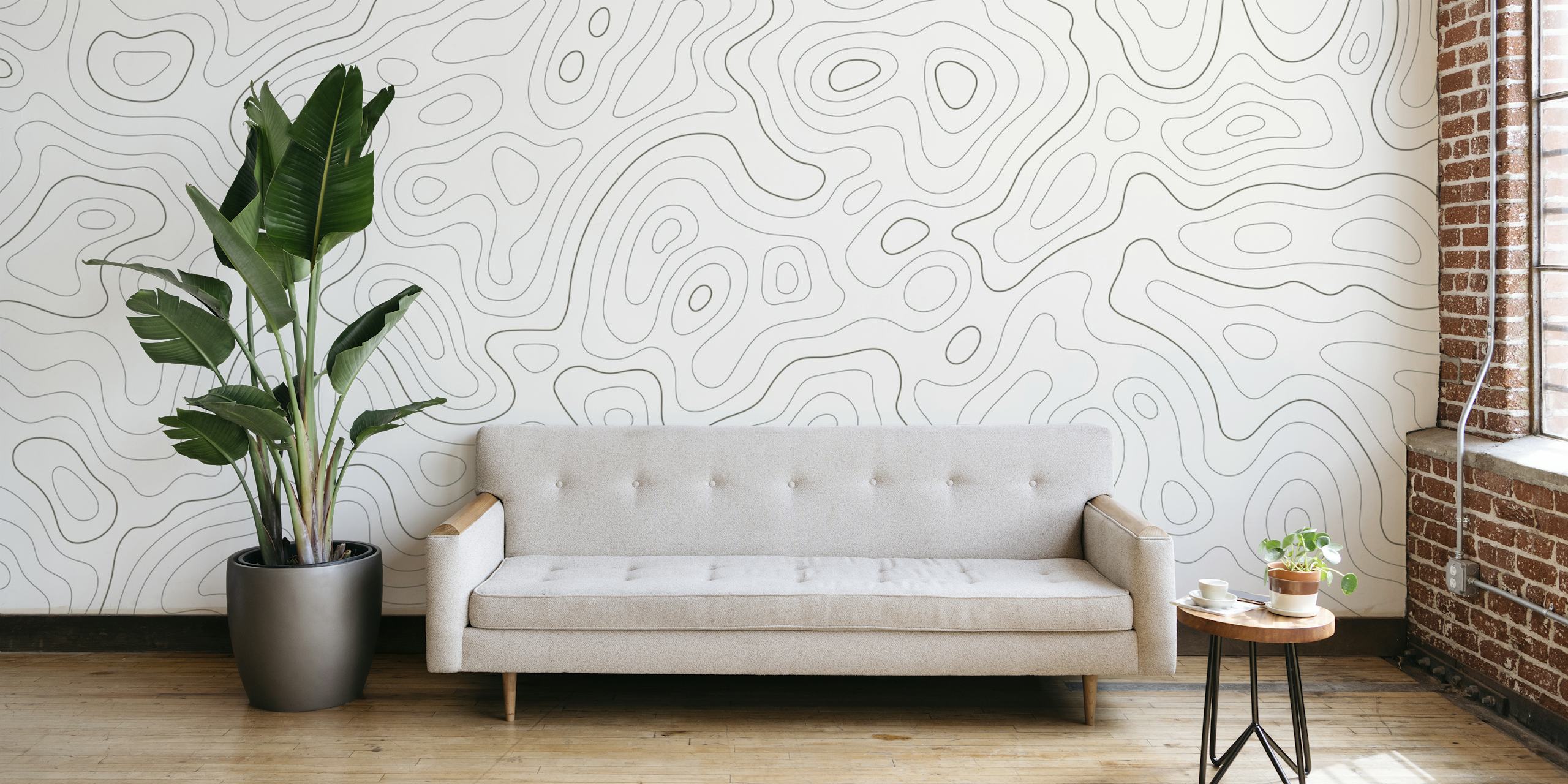 Subtle monochrome topographic map wall mural