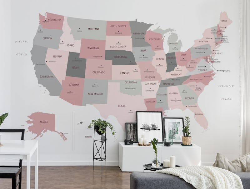 US Map Pink and Grey