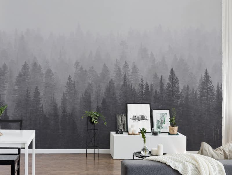 Misty Forest - Black and White