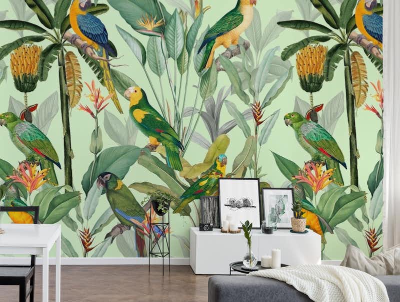 Bananas and Parrots Jungle