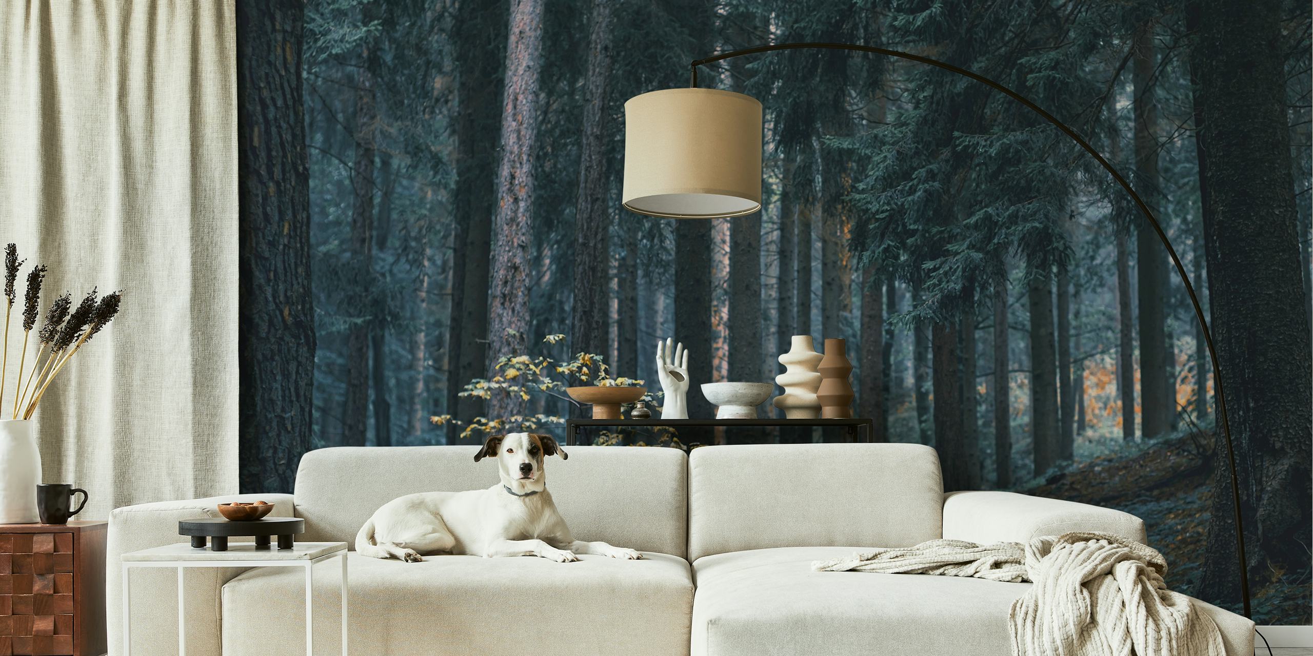 Moonlight Forest wallpaper in a room