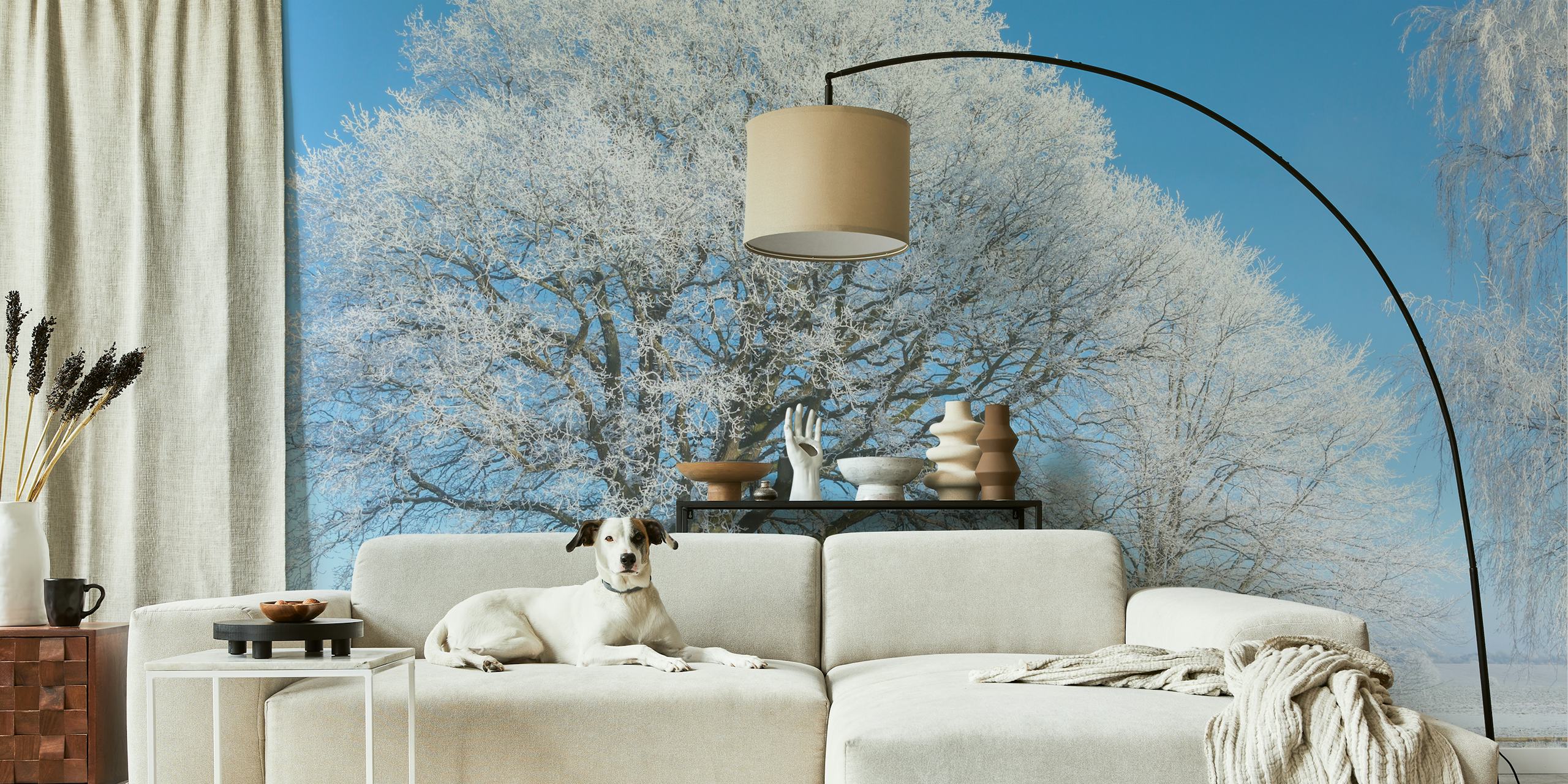 Winter landscape wallpaper with frosted trees