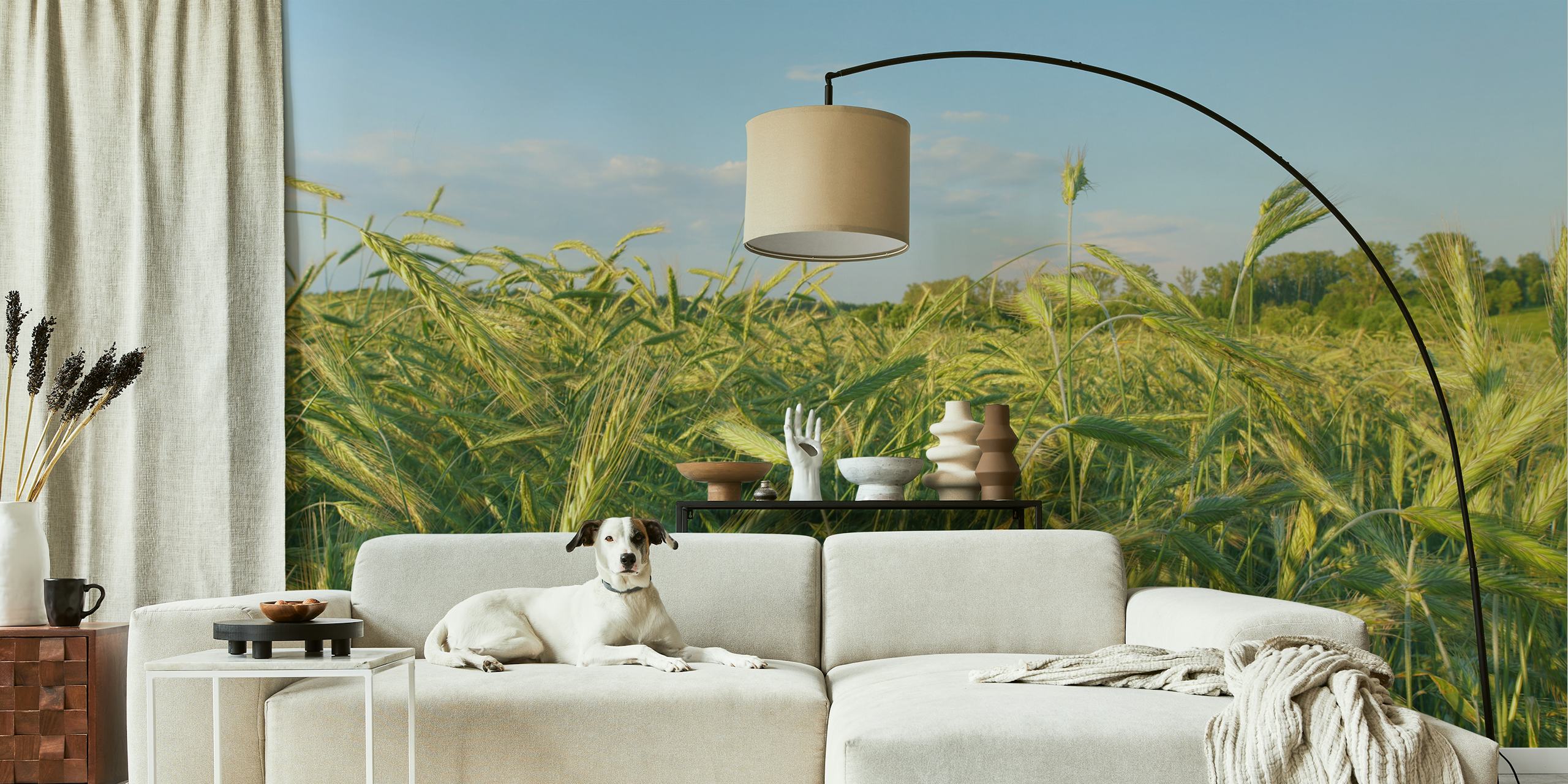 Lush Green Wheat Fields ταπετσαρία σε ένα δωμάτιο