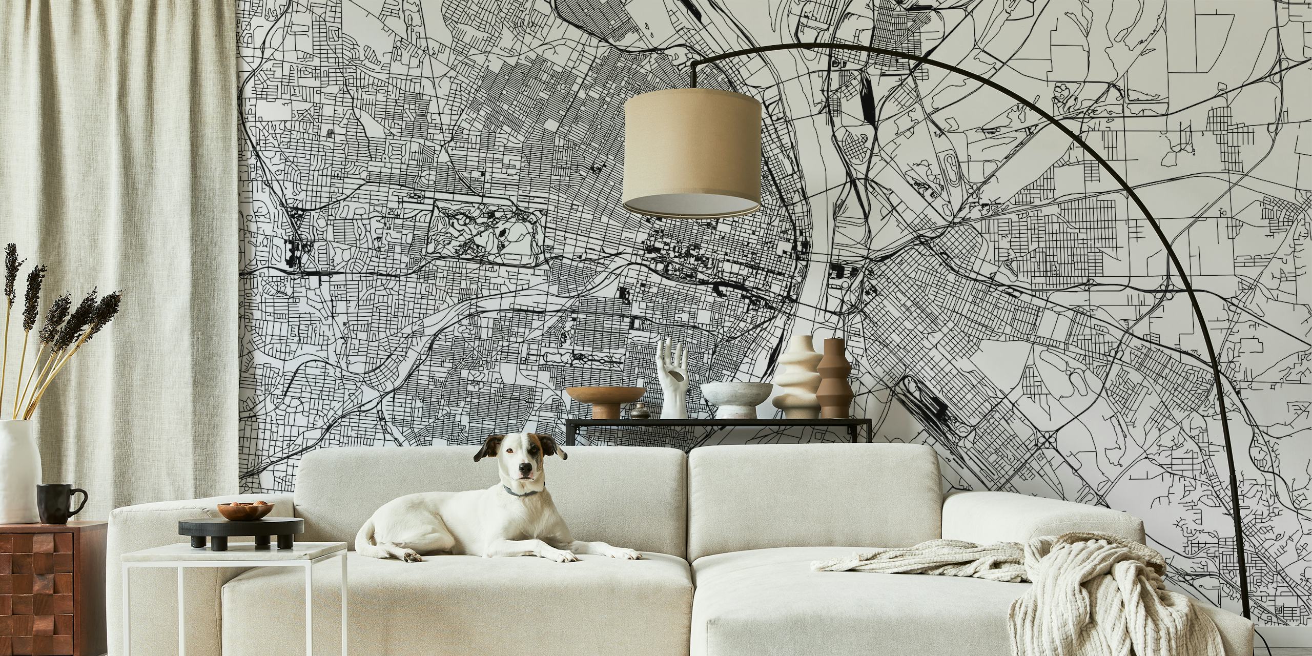 Carta da parati vintage Street Map di St. Louis