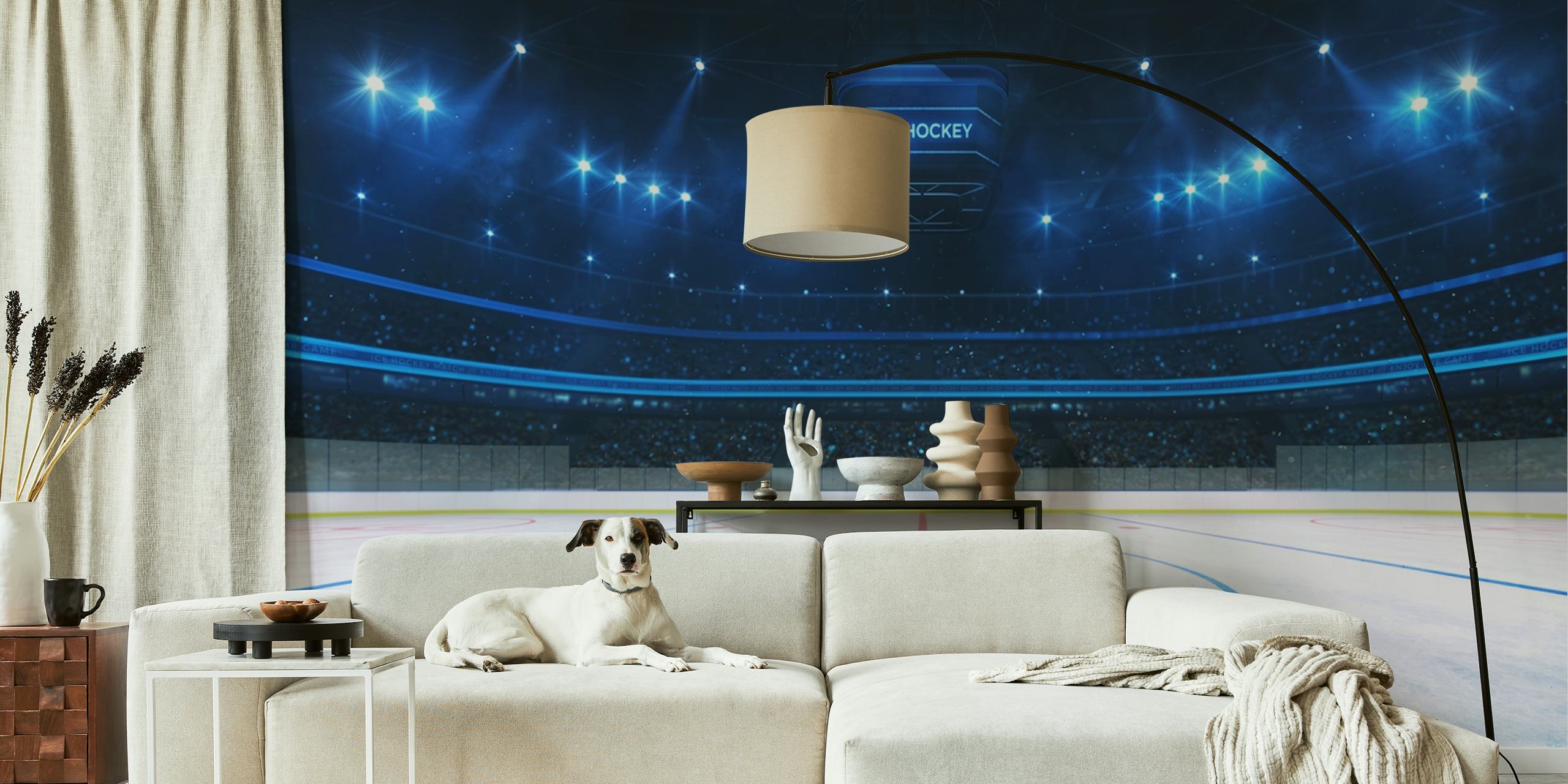 Detailliertes Ice hockey rink und Rinktapete