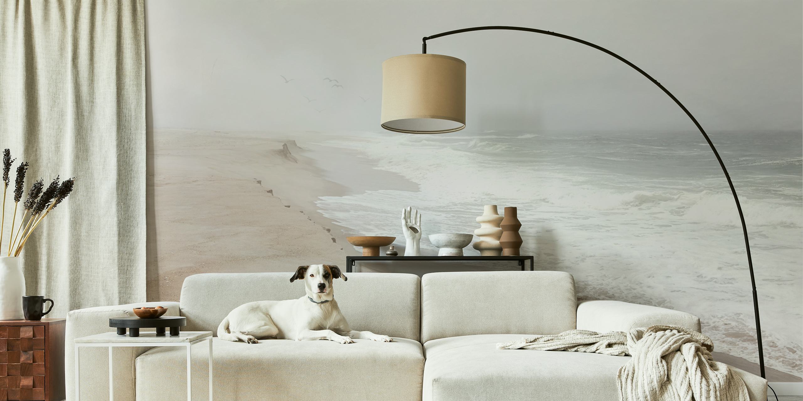 Mist over São Jacinto beach wallpaper in a room