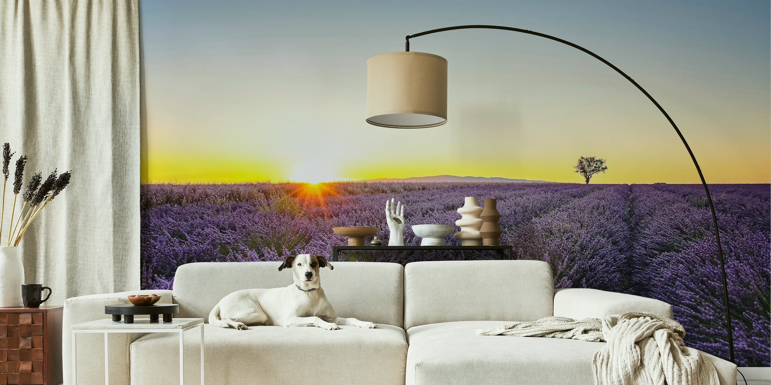 Provence Sunset tapet i et rum