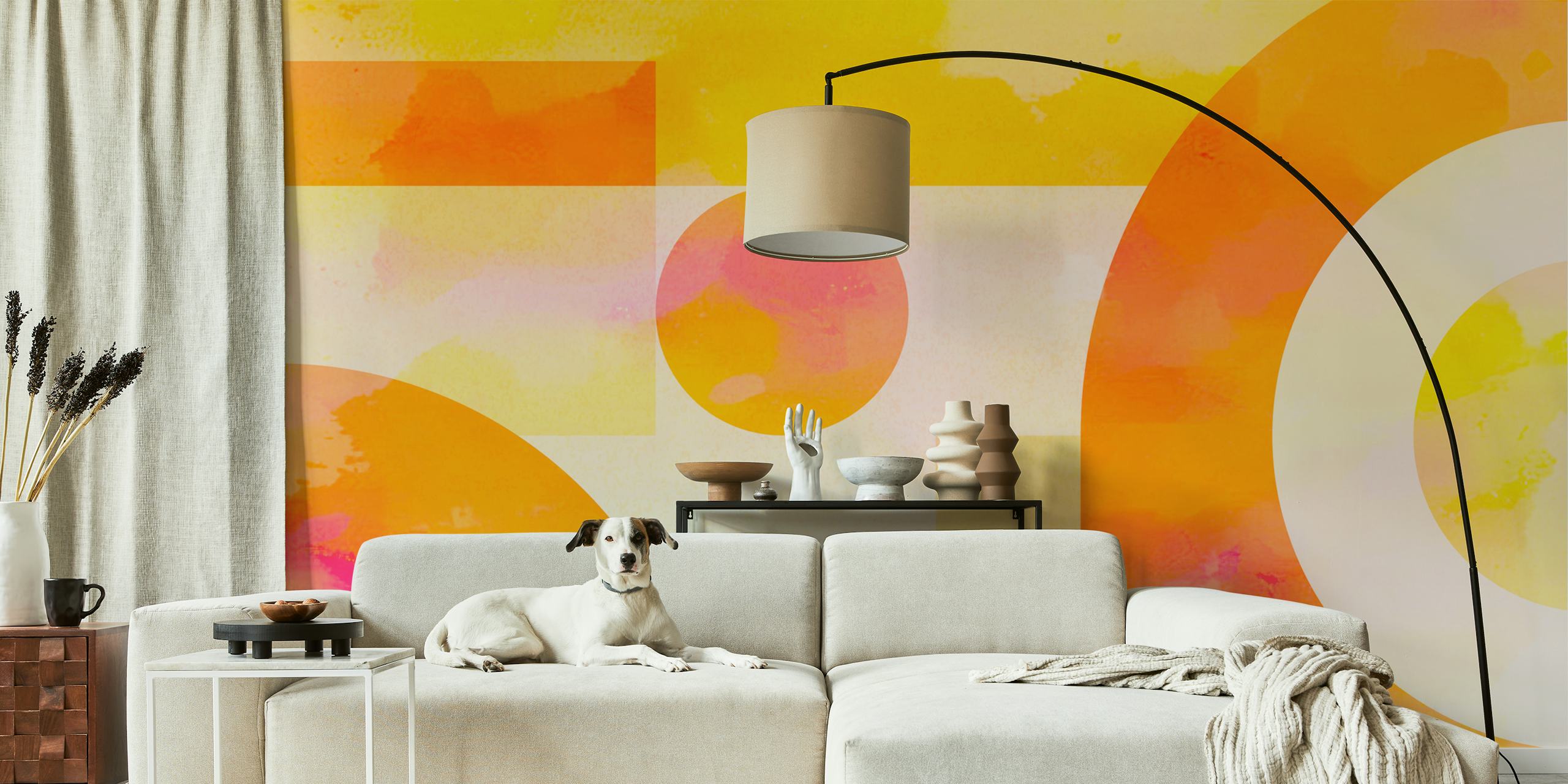 Sunrise Cosmos wallpaper in a bright room
