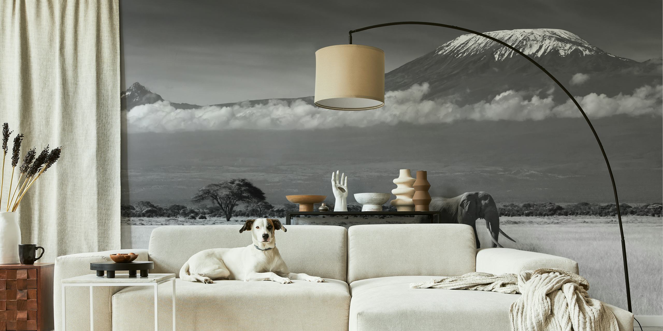 Black and white elephant in a savannah landscape wallpaper