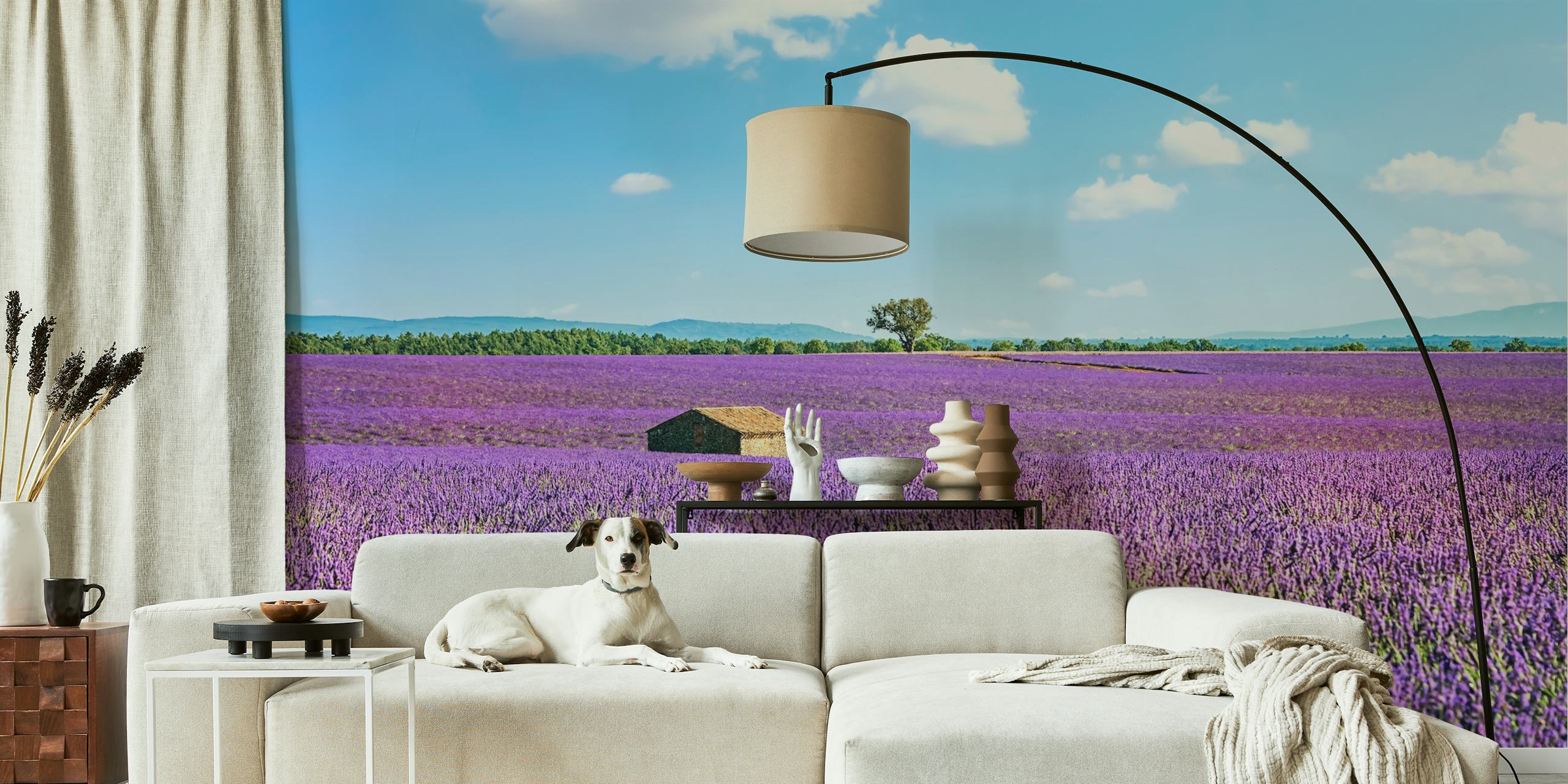 Campi di lavanda della Provenza con murale della fattoria