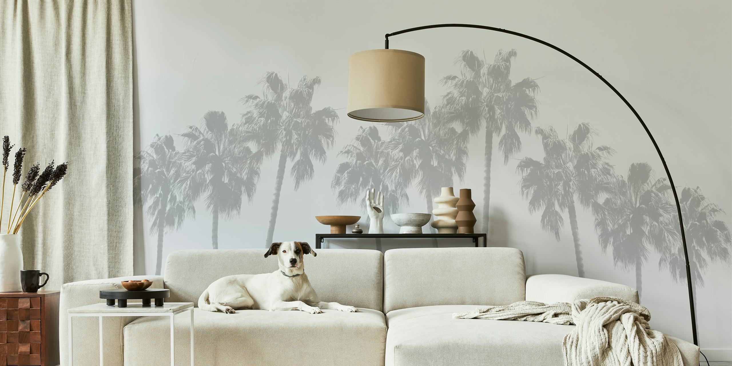 Tall grey palm trees against a white background wallpaper