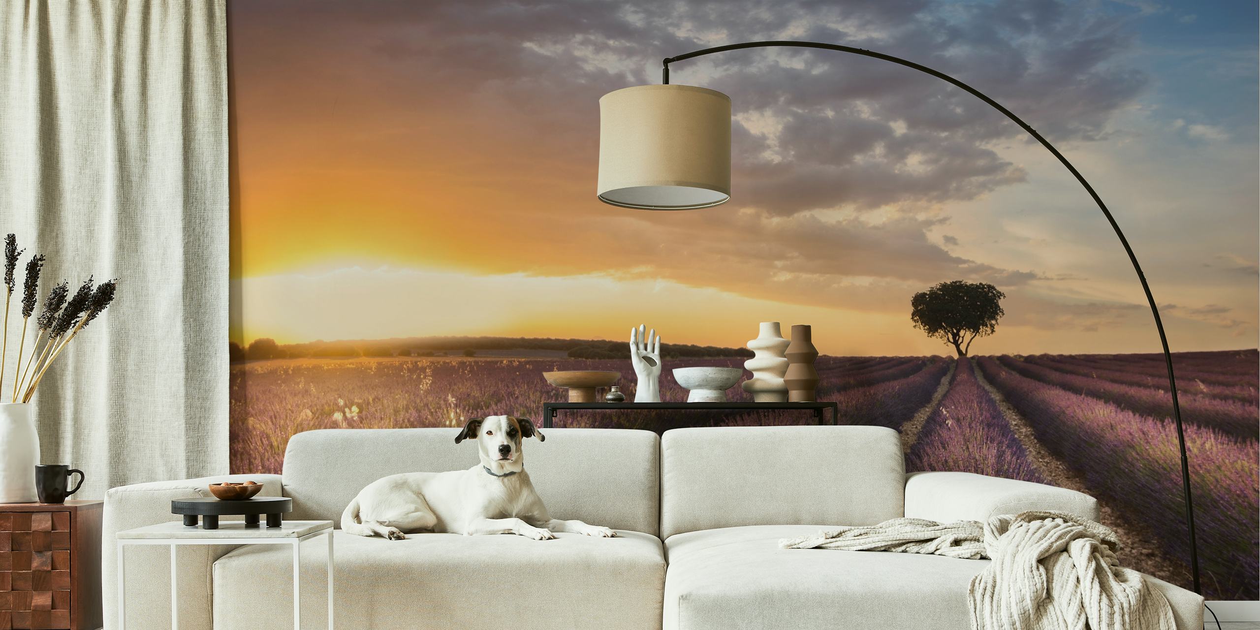 Lavender fields with sunset and a single tree wallpaper