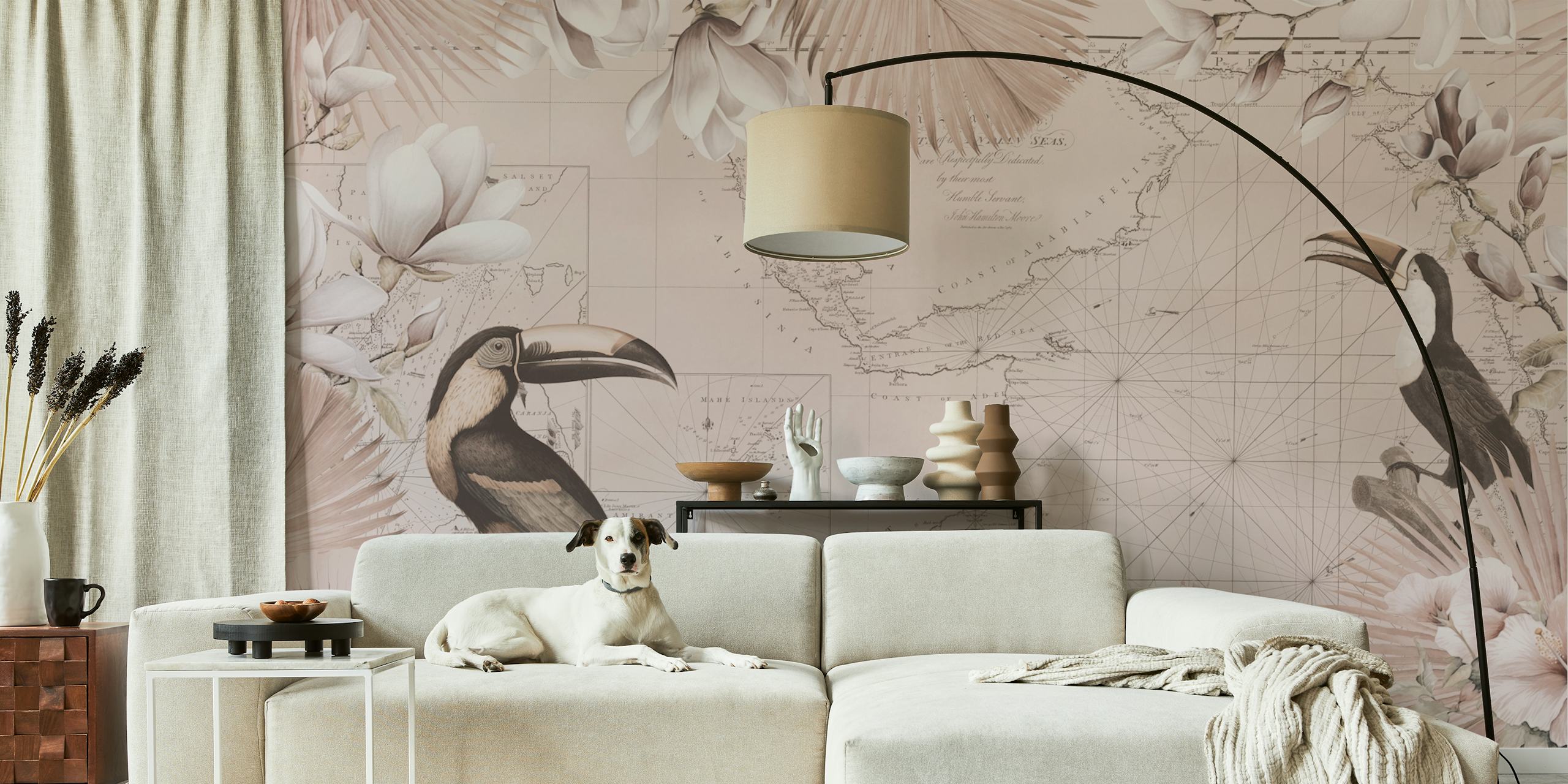 Papel tapiz Tropic toucans en un entorno de habitación