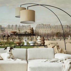 Paris Tuileries View