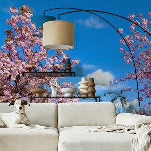 Cherry blossom and blue sky