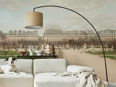 Paris Tuileries View