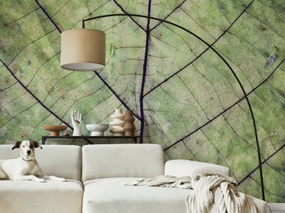 Trendy Leaf Nature Texture