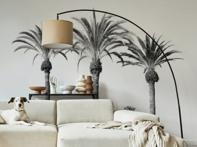 Palm Trees Black White Vibes 6