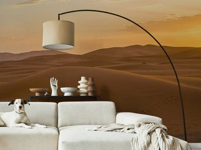 Moroccan Desert Sunset