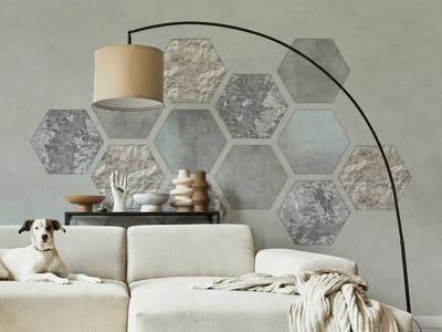Grey Hexagon Geometry