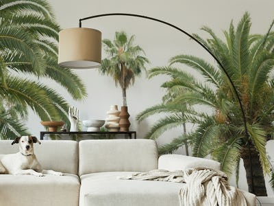Palm Trees Beauty 2